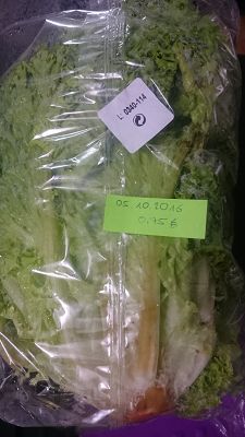 Cost of Food in Germany -domestically grown Curly endive for 0,75€